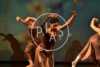 Pias Ballettstudio AS — Dance i Bodøsjøen, Bodø